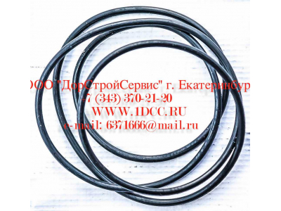 Кольцо уплотнительное ø338х3.55 гидромуфты ГТР CDM 833 Lonking CDM (СДМ) ø338х3.55 фото 1 Новороссийск