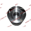 Поршневая группа WD12/WD618 (6 гильз, 6 поршней (..0017), 6 пальцев, комплект колец) SH SHAANXI / Shacman (ШАНКСИ / Шакман) 61800010125 фото 11 Новороссийск