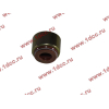 Колпачок маслосъемный двигателя TD226B6G Lonking CDM (СДМ) 13023391 фото 4 Новороссийск