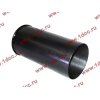 Поршневая группа WD12/WD618 (6 гильз, 6 поршней (..0017), 6 пальцев, комплект колец) SH SHAANXI / Shacman (ШАНКСИ / Шакман) 61800010125 фото 5 Новороссийск