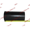 Поршневая группа WD12/WD618 (6 гильз, 6 поршней (..0017), 6 пальцев, комплект колец) SH SHAANXI / Shacman (ШАНКСИ / Шакман) 61800010125 фото 7 Новороссийск