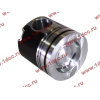 Поршневая группа WD12/WD618 (6 гильз, 6 поршней (..0017), 6 пальцев, комплект колец) SH SHAANXI / Shacman (ШАНКСИ / Шакман) 61800010125 фото 10 Новороссийск